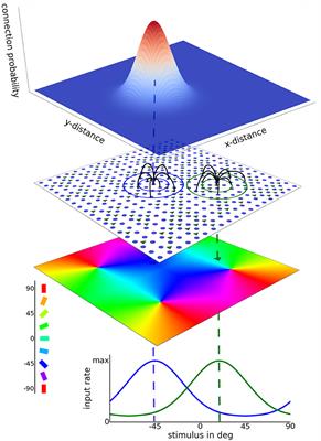 The Influence of Mexican Hat Recurrent Connectivity on Noise Correlations and Stimulus Encoding